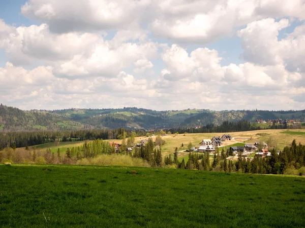 green meadow in mountains with trees and forest