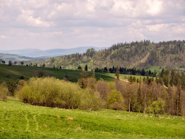 green meadow in the mountains view of tatra mountains from the top of the Zakopane, Poland.