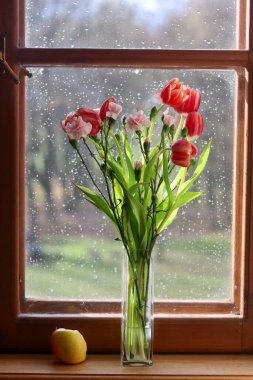 Güzel bir buket lale, çiçekler