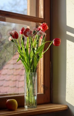 Güzel bir buket kırmızı lale pencerede