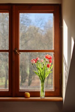 Güzel bahar çiçekleri ve penceresi