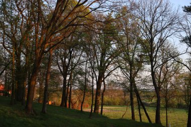 Parkın güzel manzarası