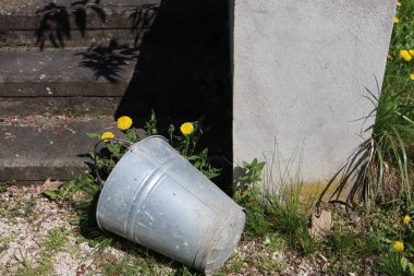 Eski metal bir kova yeşil çimlerin üzerinde eski paslı metal bir boru çimlerin üzerinde sarı karahindiba bahçenin bahçesinde ve bahçenin bahar işlerinde boş kova üzerinde