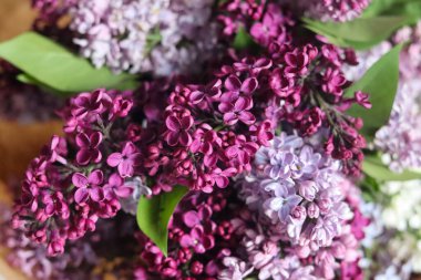 Güzel bir buket bahar çiçeği.