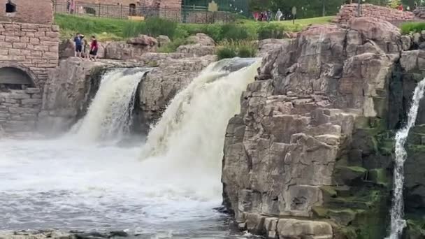 Rushmore Naturaleza Que Rodea — Vídeo de stock