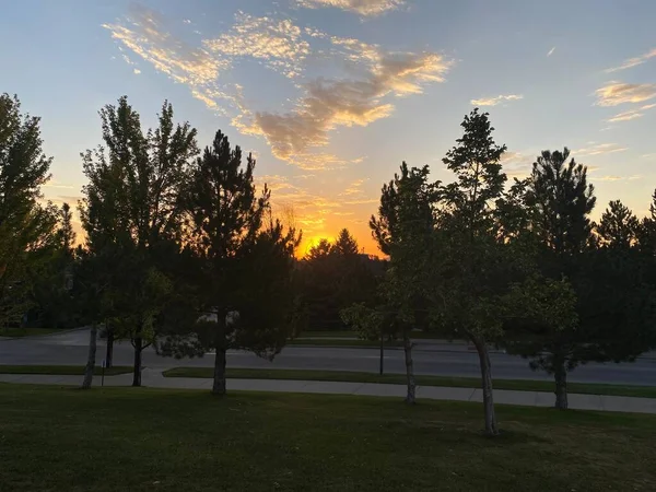 Schöner Sonnenaufgang Zwischen Bäumen Der Stadt — Stockfoto