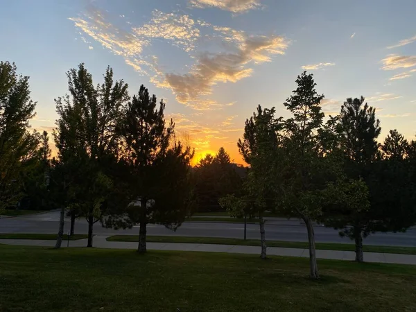 Amanecer Amarillo Entre Algunos Árboles Ciudad —  Fotos de Stock