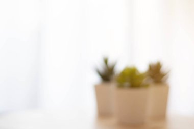 Ofis masasının arkasında beyaz saksısı olan bulanık bir saksı.