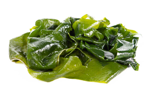 seaweed or kelp Isolated on White background