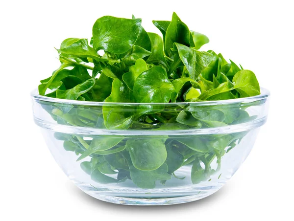 Watercress Glasses Bowl Isolated White Background — Stock Photo, Image