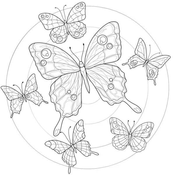 漂亮的蝴蝶 为儿童和成年人涂上彩色的书 在白色背景上孤立的示例 Zen Tangle样式 黑白画 — 图库矢量图片