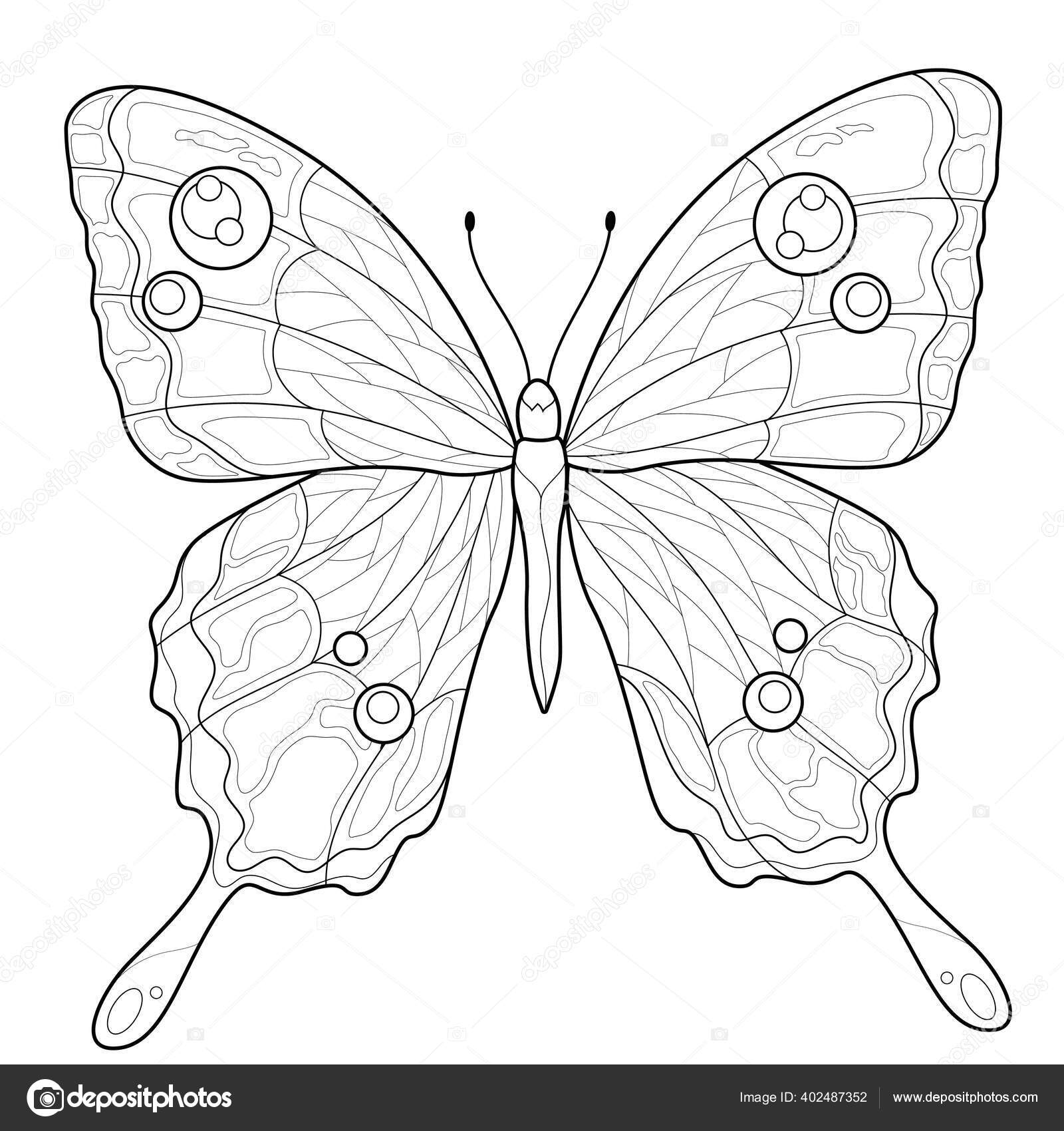 Watercolor Decorative Butterfly Insect, Drawn Contour, Print, Black and  White Coloring, Antistress on White Background for Decorat Stock  Illustration - Illustration of beauty, nature: 117368447