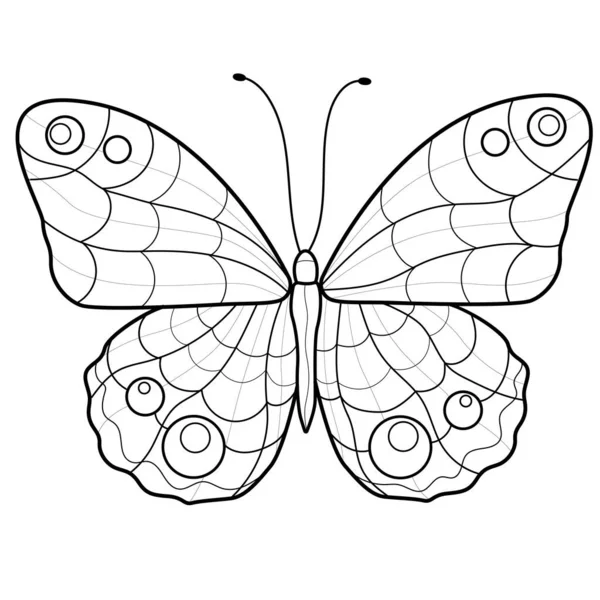 Beautiful Butterfly Coloring Book Antistress Children Adults Illustration Isolated White — Stock Vector