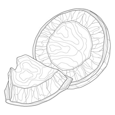 Hindistan cevizi. Lezzetli tatlılar. Çocuklar ve yetişkinler için boyama kitabı antistresi. Zen-karmaşıklık biçimi.