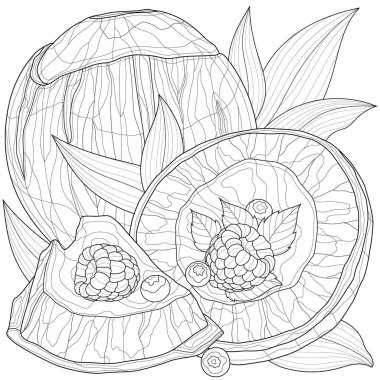 Ahududu ve nane aromalı hindistan cevizi. Lezzetli tatlılar. Çocuklar ve yetişkinler için boyama kitabı antistresi. Zen-karmaşıklık biçimi.