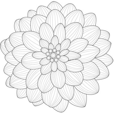 Dahlia Çiçeği. Çocuklar ve yetişkinler için boyama kitabı antistresi. Resimler beyaz arka planda izole edildi. Zen-karmaşası tarzı. Siyah beyaz çizim. Tişört amblemi, logo ya da karalamalı dövme.