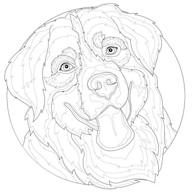 Güzel köpek dil gösteriyor. Bernese Dağ Köpeği. Çocuklar ve yetişkinler için boyama kitabı. Zen karışıklığı tarzı. Siyah beyaz çizim.