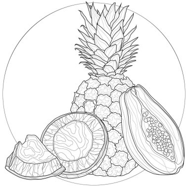 Meyveler. Ananas, papaya ve hindistan cevizi renkli kitap çocuklar ve yetişkinler için stres önleyici. Zen-karmaşıklık biçimi.