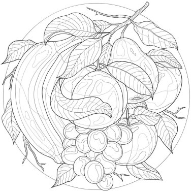 Meyveler. Portakal, üzüm, elma, armut ve muz. Çocuklar ve yetişkinler için boyama kitabı antistresi. Resimler beyaz arka planda izole edildi. Siyah-beyaz çizim. Zen-karmaşa tarzı..