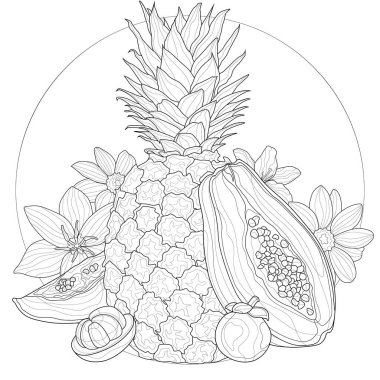Egzotik meyve ve çiçekler. Ananas, Papaya, Mangosteen. Çocuklar ve yetişkinler için boyama kitabı. Zen karışıklığı tarzı. Siyah beyaz çizim.