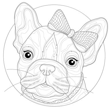 Kafasında fiyonk olan Fransız bulldog. Çocuklar ve yetişkinler için boyama kitabı antistresi. Resimler beyaz arka planda izole edildi. Siyah-beyaz çizim. Zen-karmaşa tarzı..