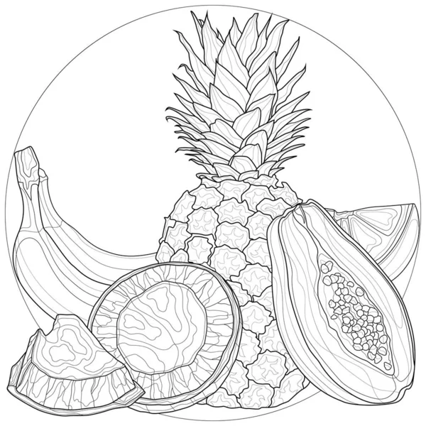 Fruits Exotiques Ananas Noix Coco Papaye Livre Colorier Antistress Pour — Image vectorielle