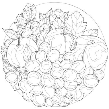 Meyveler. Üzüm, şeftali ve kelebek. Çocuklar ve yetişkinler için boyama kitabı stres önleyici tasarım. Resimler beyaz arka planda izole edilmiş. Siyah beyaz çizimler. Zentangle tarzı.