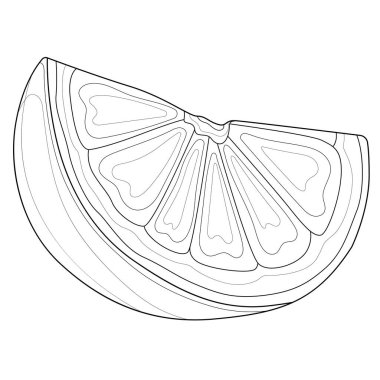 Portakal dilimi. Tatlı. Çocuklar ve yetişkinler için boyama kitabı. Resimler beyaz arkaplanda izole edildi. Zen-tangle tarzı.