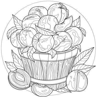 Meyveler. Kova içinde şeftaliler. Lezzetli tatlar. Çocuklar ve yetişkinler için boyama kitabı antistresi. Zen karışıklığı tarzı. Siyah beyaz çizim.