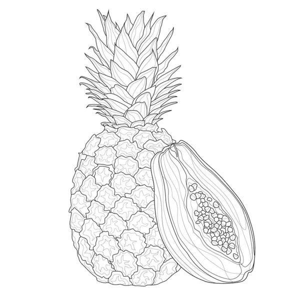 Ananas Papaye Coloriage Antistress Livre Pour Les Enfants Les Adultes — Image vectorielle