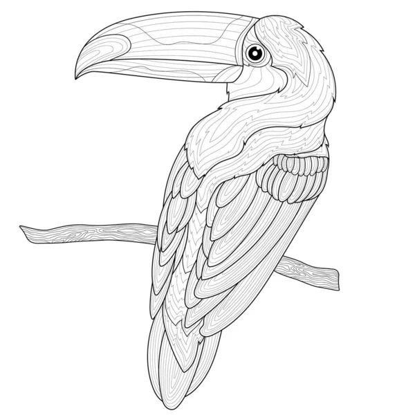 Toucan Branch Bird Coloring Book Antistress Children Adults Zen Tangle — Stock Vector