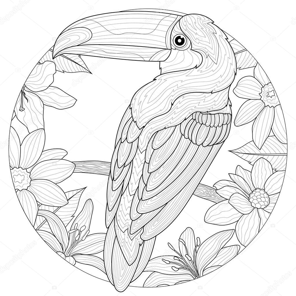 Vettoriale stockTucano Circondato Fiori Colorare Libro Antistress Bambini  Adulti Stile Zen di ©vlasenko.ekaterinka1996@gmail.com #411107618, image size:1024x1024