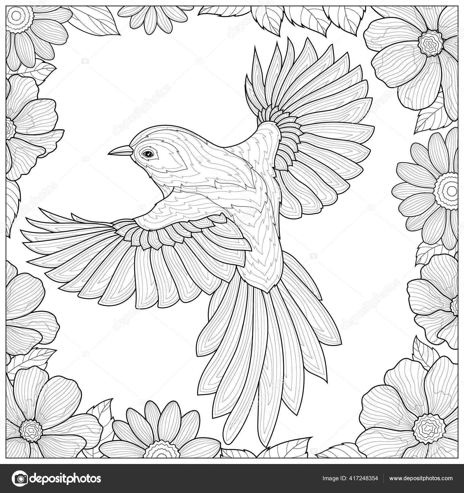 Desenhos para colorir gratuitos de Pássaros para imprimir e colorir -  Pássaros - Coloring Pages for Adults