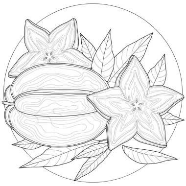 Karom meyvesi. Çocuklar ve yetişkinler için boyama kitabı antistresi. Resimler beyaz arka planda izole edildi. Siyah-beyaz çizim. Zen-karmaşa tarzı..