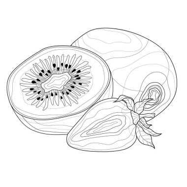 Kivi ve çilek. Meyveler. Çocuklar ve yetişkinler için boyama kitabı antistresi. Zen karışıklığı tarzı. Siyah beyaz çizim.