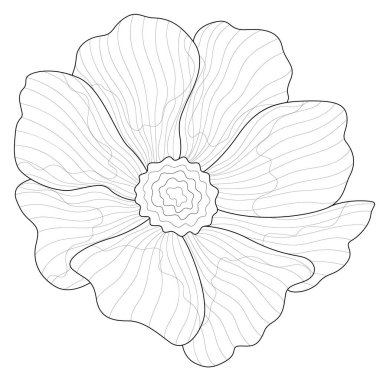 Güzel çiçek. Çocuklar ve yetişkinler için boyama kitabı antistresi. Zen karışıklığı tarzı. Siyah beyaz çizim.