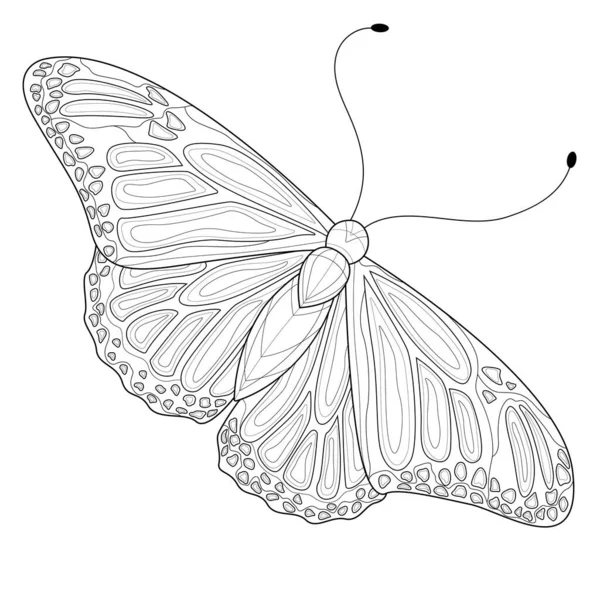 Butterfly Målarbok Antistress För Barn Och Vuxna Zen Trassel Stil — Stock vektor