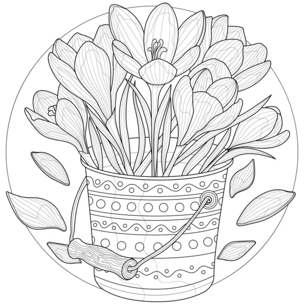 Flowers Bucket Crocuses Coloring Book Antistress Children Adults Illustration Isolated — Stock Vector