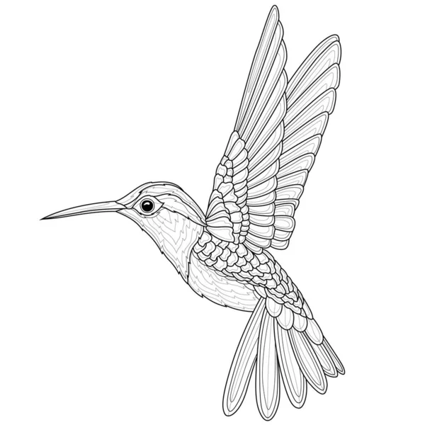 Colibris Livre Colorier Antistress Pour Enfants Adultes Illustration Isolée Sur — Image vectorielle