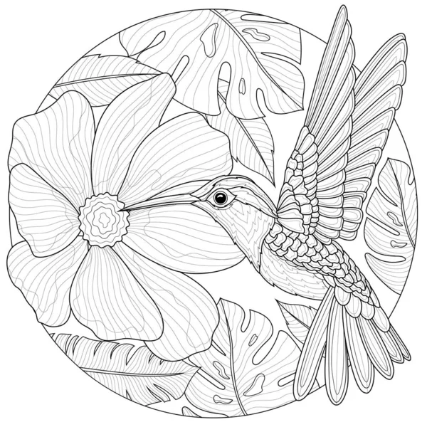 Hummingbirds Fiori Libro Colorare Antistress Bambini Adulti Illustrazione Isolata Sfondo — Vettoriale Stock