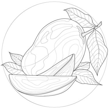 Mango meyvesi. Çocuklar ve yetişkinler için boyama kitabı antistresi. Resimler beyaz arkaplanda izole edildi. Zen-tangle tarzı.