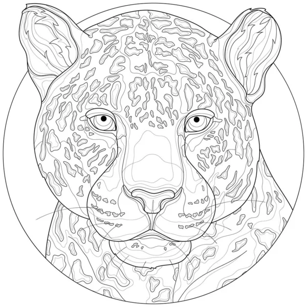 Леопард Тварина Розмальовка Книжка Антистрес Дітей Дорослих Ілюстрація Ізольована Білому — стоковий вектор