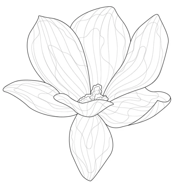 Magnolia Flower Coloring Book Antistress Children Adult Zen Tangle 스타일 — 스톡 벡터