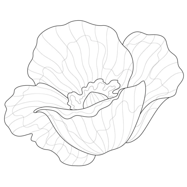Fleurs Pavot Livre Colorier Antistress Pour Enfants Adultes Illustration Isolée — Image vectorielle