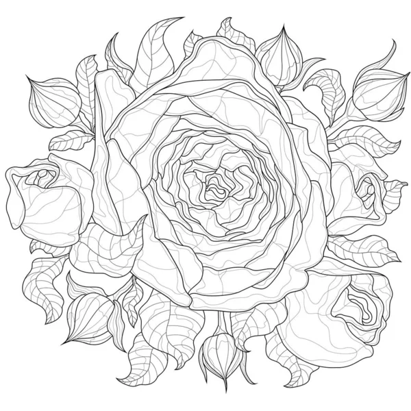 Rose Flowers Coloring Book Antistress Children Adult Zen Tangle 스타일 — 스톡 벡터