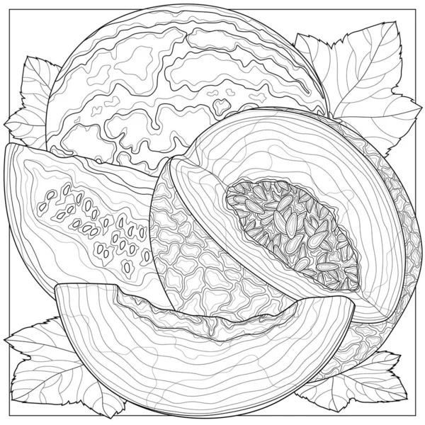 Melon Pastèque Fruits Coloriage Antistress Livre Pour Enfants Adultes Illustration — Image vectorielle