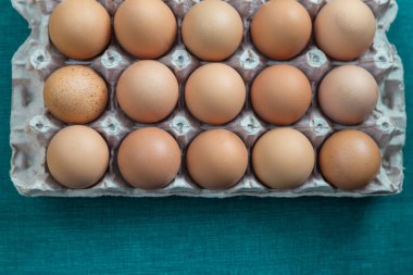 Turkuaz yumurta tepsisi, stüdyo