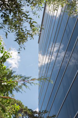 Bulutları yansıtan mavi cam bina, ağaç dalları, aşağıdan çekilen fotoğraf gökyüzünü gösteriyor.