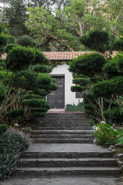 Stone Steps House End Stairs Surrounded Trees Bushes Photo Day — Stock Photo, Image