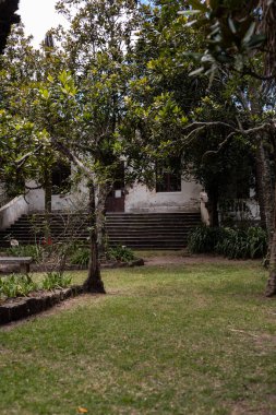 Yeşil ağaçlar ve çimlerle çevrili merdivenleri olan eski beyaz bina doğal ve mimari elementlerle sakin bir açık hava manzarası gösteriyor..